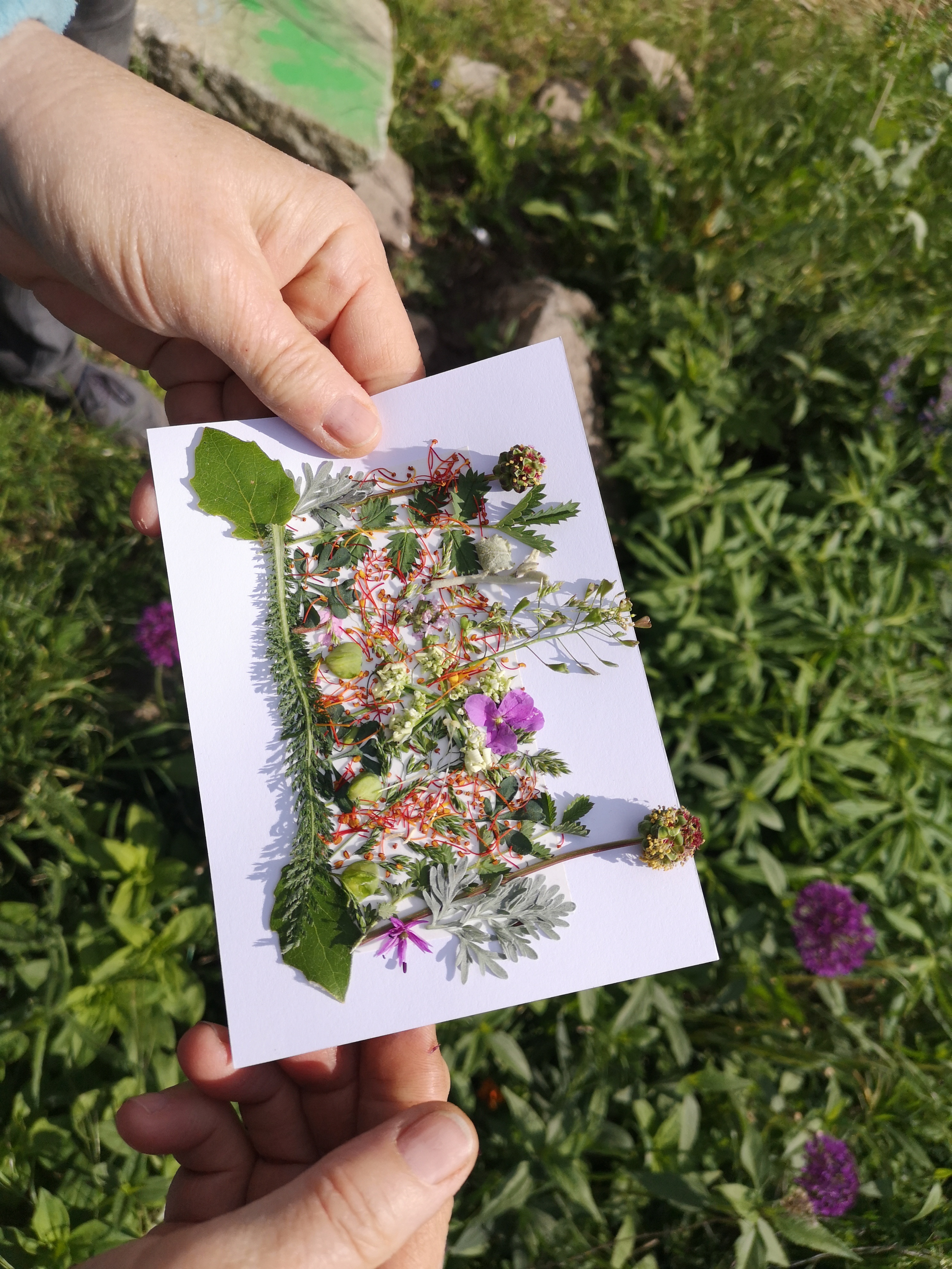 Biodiversität