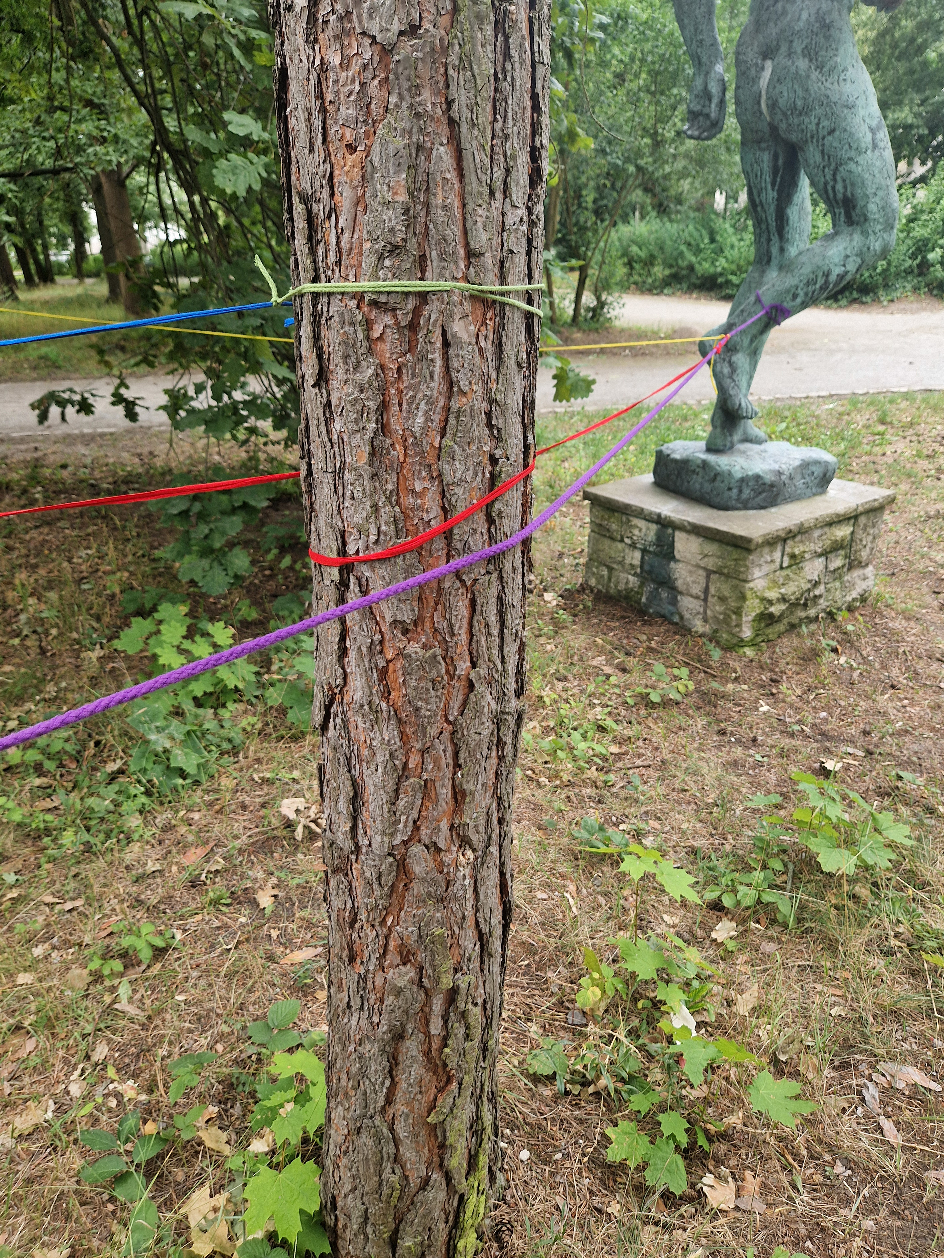 Kviwi